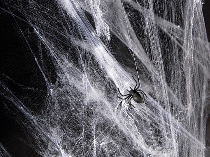 Dekoratīvie Helovīna zirnekļu tīkli + zirnekļi
