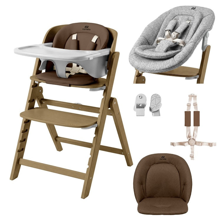 Carrello Focus CRL-16801 high chair with bouncer