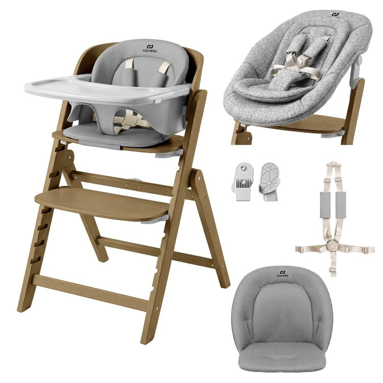 Carrello Focus CRL-16801 high chair with bouncer