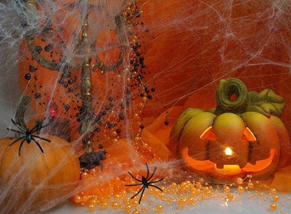 Decorative Halloween cobwebs + spiders