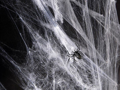 Decorative Halloween cobwebs + spiders